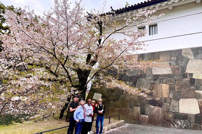 Tokyo Cherry Blossoms blooming spots E-bike Tour, 3hrs - Sotobori Park: the moat-side blossom corridor