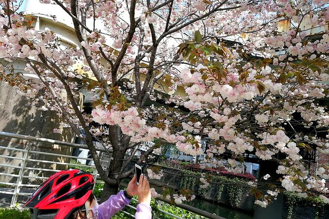 Tokyo Cherry Blossoms blooming spots E-bike Tour, 3hrs - Kensei Kinenkan: final hop-off photo time