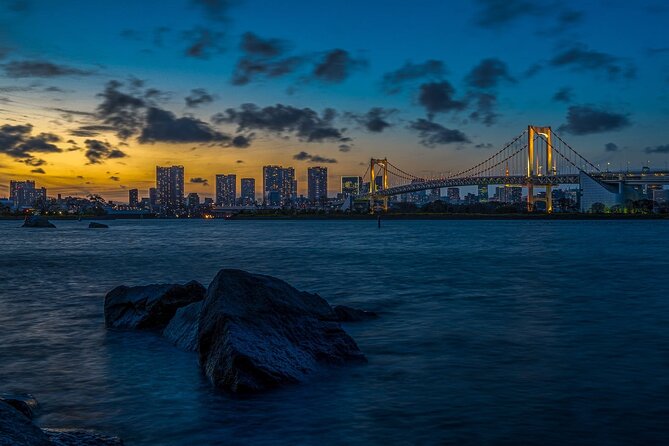 Tokyo City 1-Day Private Tour with Bilingual Driver - Tsukiji Fish Market: where Tokyo smells like the real deal