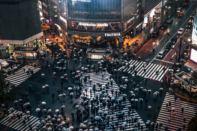Tokyo City 1-Day Private Tour with Bilingual Driver - Price and value: when $425 makes sense