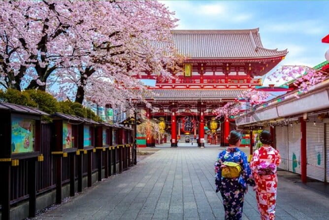 Tokyo City Tour by Private Car & English guide - Key highlights at a glance