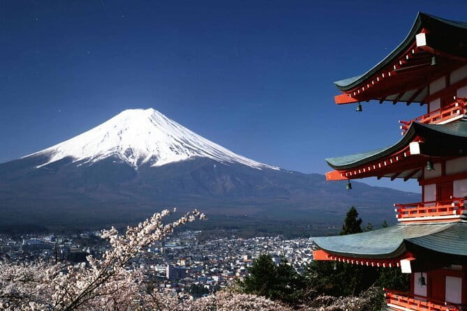 Tokyo City Tour by Private Car & English guide - Meiji Jingu Shrine and Tsukiji Outer Market, two Tokyo moods in one block