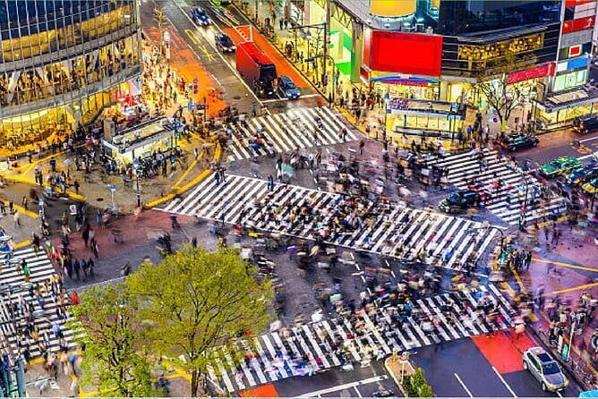 Tokyo City Tour by Private Car & English guide - Odaiba to Shibuya Crossing, bay views to people-watching