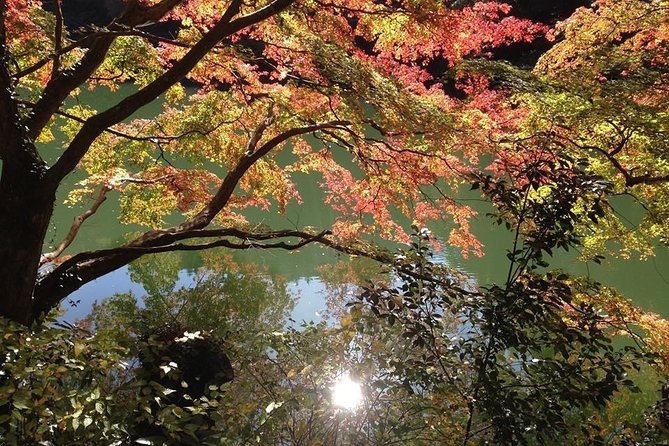 Tokyo Countryside Exploration Private Tour - Key things that make this tour work