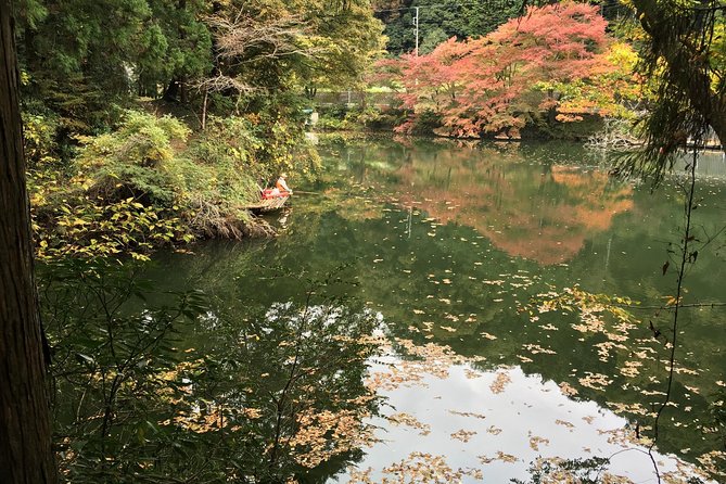 Tokyo Countryside Exploration Private Tour - Hanno bamboo temple: Gozu legend, shy deer, and a quiet start