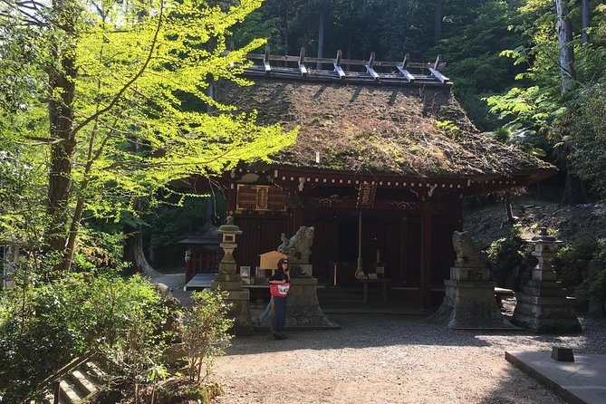 Tokyo Countryside Exploration Private Tour - Ne-no-gongen shrine: mountain views and prayers for backs and legs