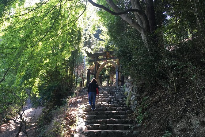 Tokyo Countryside Exploration Private Tour - Torii Pagoda in the mountains: Xuanzang’s remains and a standout connection