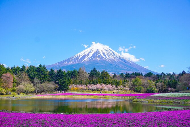 Tokyo: Customized Mt. Fuji & Hakone Sightseeing Private Day Trip - Key takeaways before you go