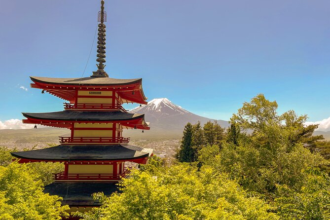 Tokyo: Customized Mt. Fuji & Hakone Sightseeing Private Day Trip - Oshino Hakkai: Fuji spring ponds without the extra fuss
