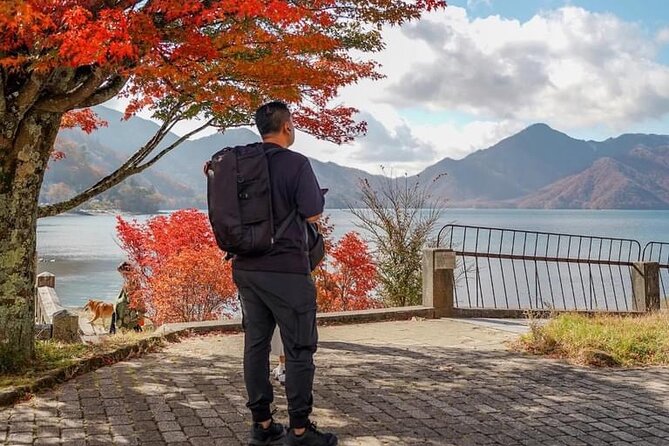 Tokyo: Customized Mt. Fuji & Hakone Sightseeing Private Day Trip - Lake Kawaguchiko: reflections and flexible viewing time