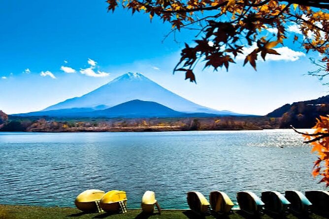 Tokyo: Customized Mt. Fuji & Hakone Sightseeing Private Day Trip - How the flexible route helps you build a better day