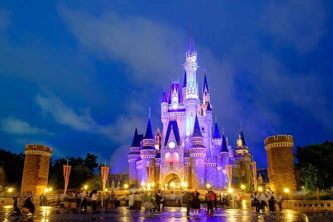 Tokyo Disney Resort Park E-Tickets with Options - Picking Disneyland or DisneySea, without the ticket line