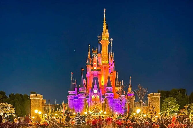 Tokyo Disney Resort Park E-Tickets with Options - Tokyo DisneySea day: for longer queues and extra planning