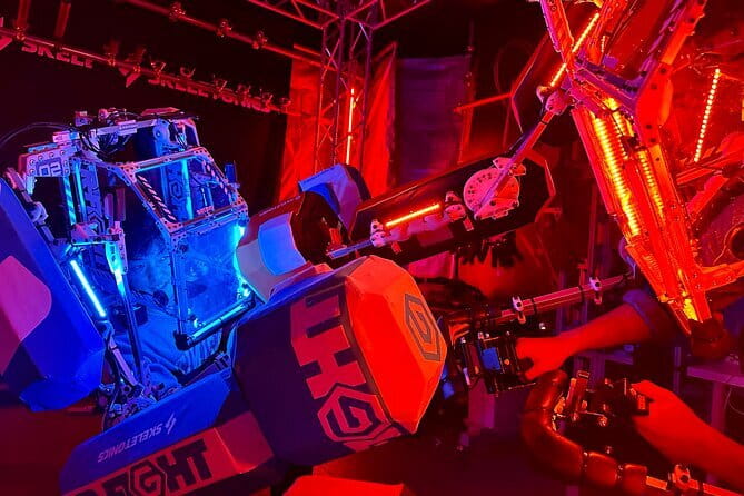 Tokyo Disney Resort Park E-Tickets with Options - Practical gotchas: lines, food, and language friction