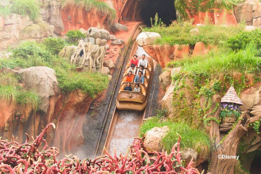 Tokyo Disneyland 1-Day Passport - Crowd Reality: When Lines Hit 40 Minutes, 60 Minutes, or More