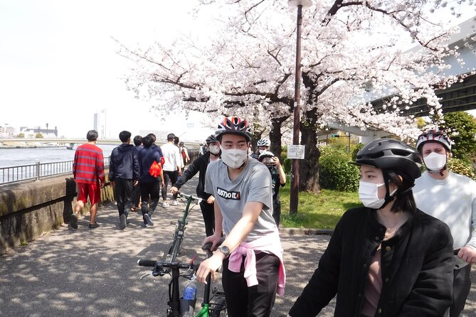 Tokyo downtown bicycle tour Tokyo Backstreets Bike Tour - Gardens, sumo, and the kind of Tokyo you do not see from tour buses