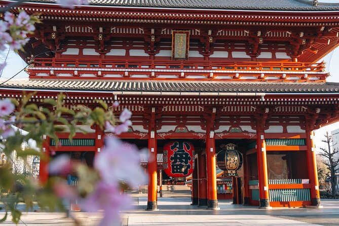 Tokyo Early Morning Tour Asakusa Meiji Shrine (Private Opt) - Key points that make this Tokyo early morning plan work