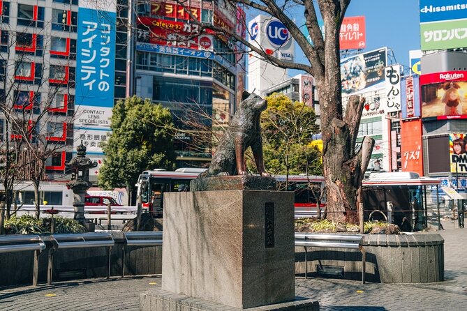 Tokyo Early Morning Tour Asakusa Meiji Shrine (Private Opt) - Stop 3: Meiji Jingu Shrine and the forest calm