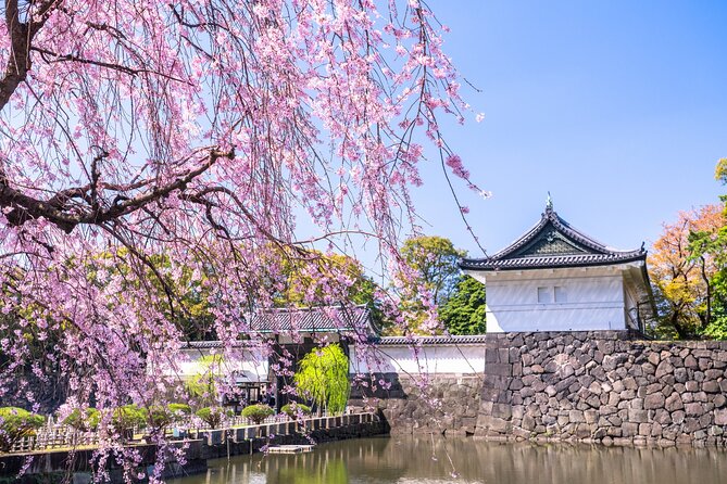 Tokyo: Edo Castle & East Garden of the Imperial Palace Tour - Key points to know before you go