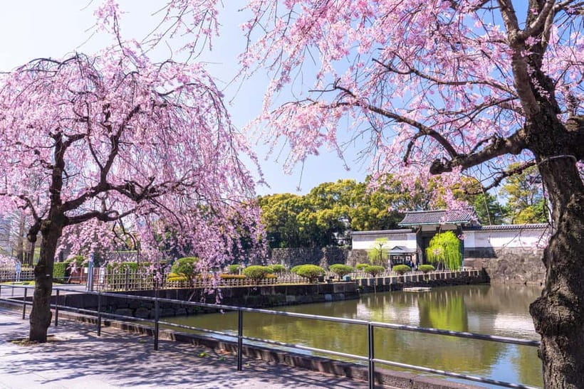 Tokyo: Edo Castle & East Garden of the Imperial Palace Tour - Practical Notes: Inspection, Timing, and Keeping the Tour Smooth