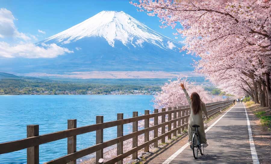 Tokyo: Full-Day Tour of the Six Majestic Spots of Mt Fuji - Key moments that make this tour worth considering