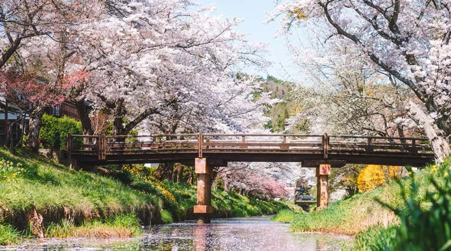 Tokyo: Full-Day Tour of the Six Majestic Spots of Mt Fuji - Price and logistics: what you get for $45, and what you pay extra