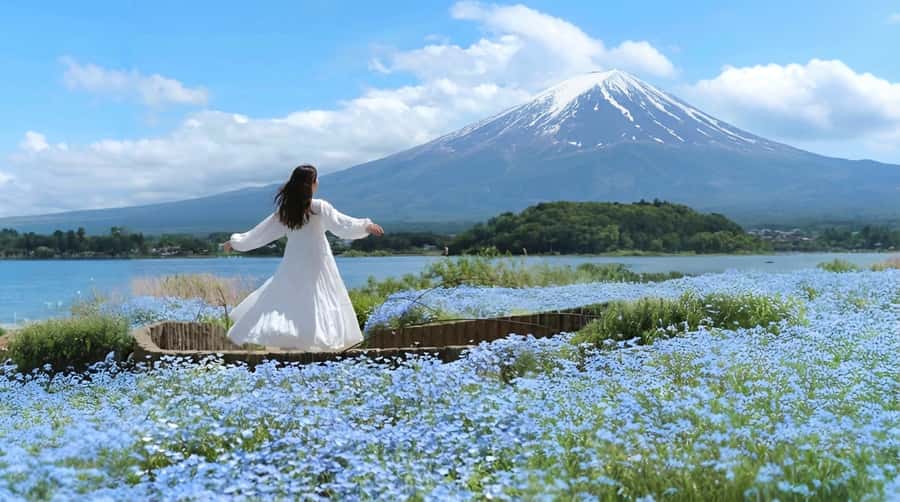 Tokyo: Full-Day Tour of the Six Majestic Spots of Mt Fuji - Arakurayama Sengen Park: red pagoda views with seasonal framing