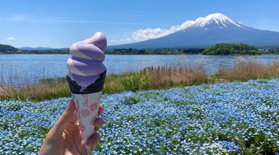 Tokyo: Full-Day Tour of the Six Majestic Spots of Mt Fuji - How the day runs in real life: pacing, guides, and comfort