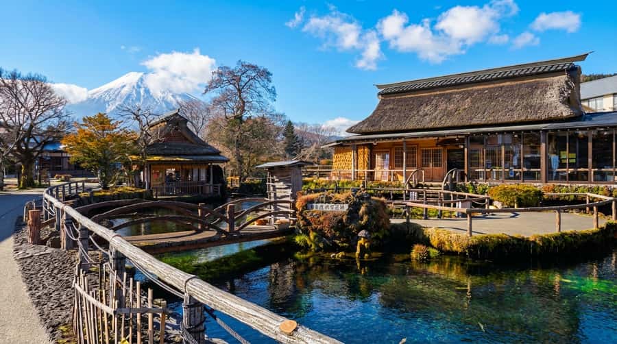 Tokyo: Full-Day Tour of the Six Majestic Spots of Mt Fuji - Who should book this tour, and who might skip it