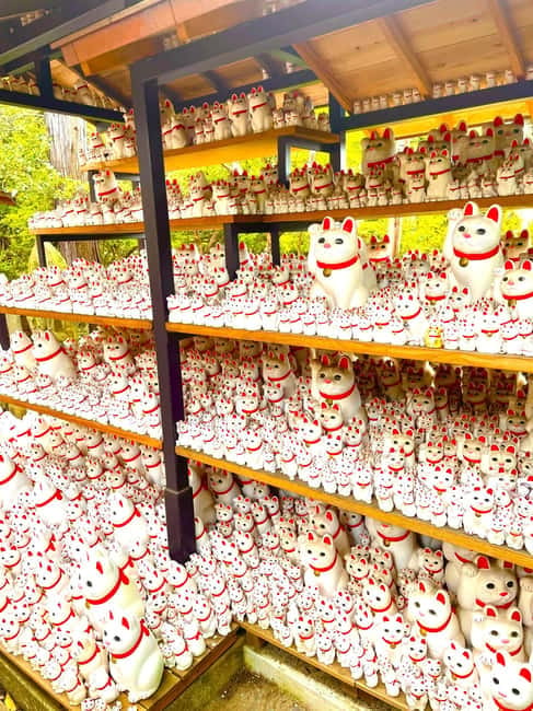 Tokyo: Gotokuji Cat Temple, Shinjuku Cat Cafe & 3D Cat Tour - Shinjuku East Exit, the Giant 3D Cat photo stop that sets the tone