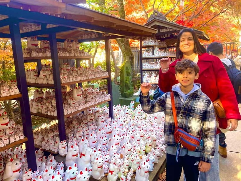 Tokyo: Gotokuji Cat Temple, Shinjuku Cat Cafe & 3D Cat Tour - The train leg to Gotokuji, simple Suica or PASMO and a realistic time rhythm