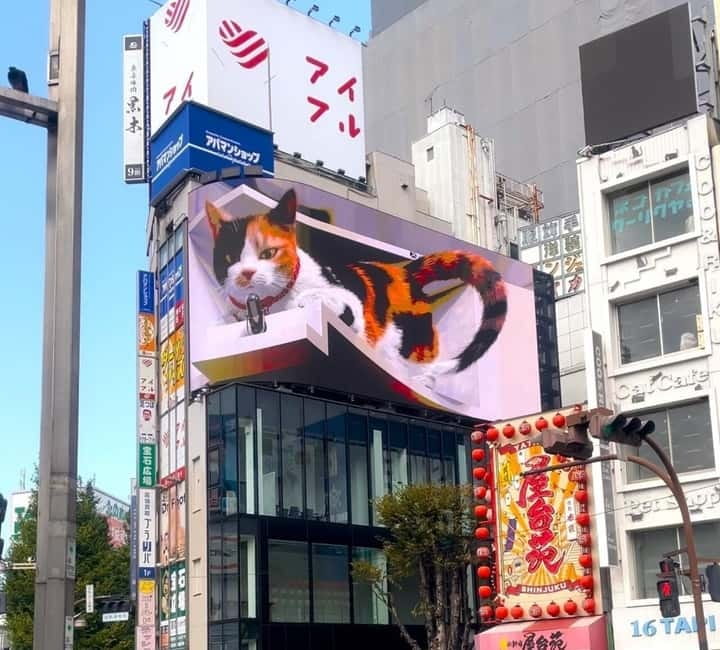 Tokyo: Gotokuji Cat Temple, Shinjuku Cat Cafe & 3D Cat Tour - Gotokuji Cat Temple, ten thousand lucky cats and what to do with your 50 minutes