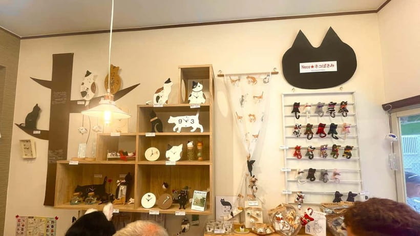 Tokyo: Gotokuji Cat Temple, Shinjuku Cat Cafe & 3D Cat Tour - Price and value: what $56 really buys you in time and cat experiences