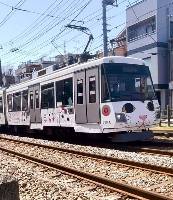 Tokyo: Gotokuji Cat Temple, Shinjuku Cat Cafe & 3D Cat Tour - Who this tour fits best, and who should skip it