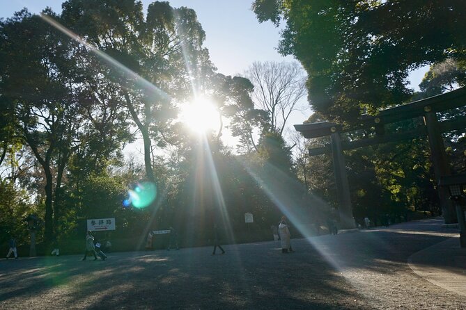 Tokyo: Harajuku Meiji Shrine to Shibuya Crossing Guided Tour - Price and value: what $79.73 really buys you