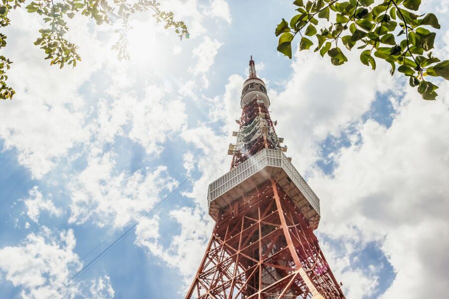 Tokyo: Hop-On Hop-Off Sightseeing Bus Ticket - Who This Ticket Fits Best in Your Tokyo Plans