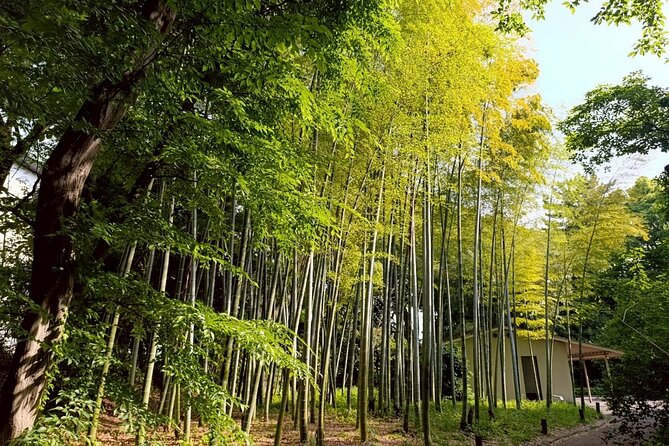 Tokyo: Imperial Palace and Shogun Historical Walking Tour - Key things to know before you go
