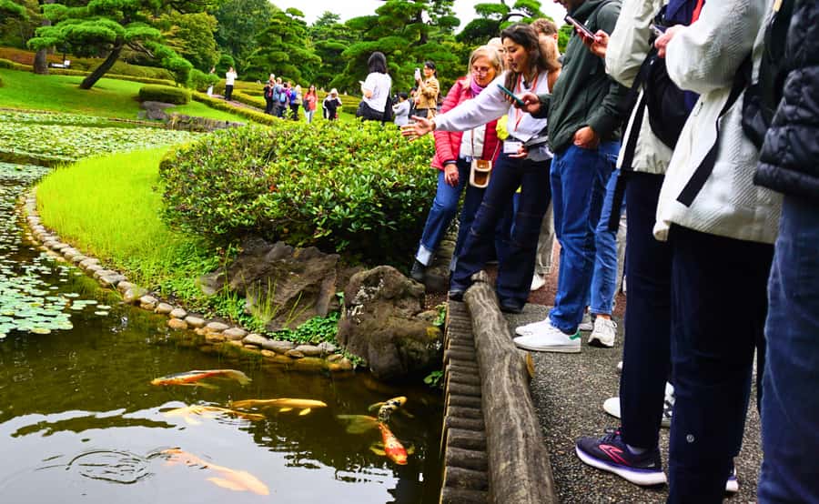 Tokyo: Imperial Palace, the history of Japan (ENGLISH GUIDE) - Finding your guide at Wadakuramon Fountain Park (and not stressing)