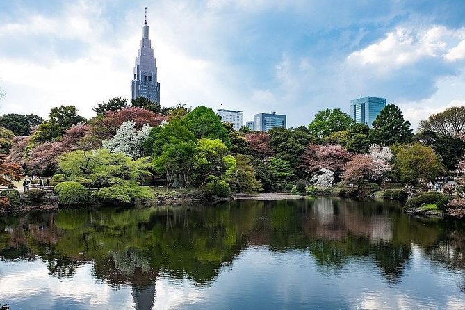 Tokyo Japanese Garden Lover's Private Tour with Government-Licensed Guide - Why This Private Garden Walk Feels Different Than DIY