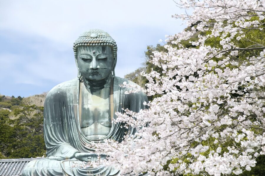 Tokyo: Kamakura & Enoshima Day Tour with Pickup & Train Ride - Komachi Street time for snacks and souvenirs