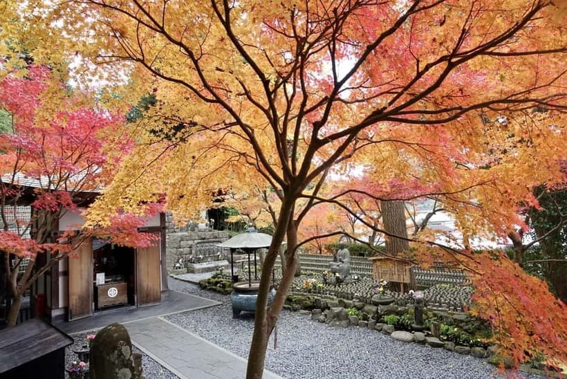 Tokyo: Kamakura & Enoshima Day Trip including Temple Tickets - Key highlights and why they matter