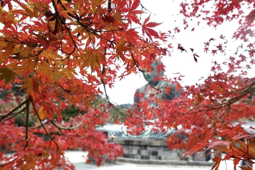 Tokyo: Kamakura & Enoshima Day Trip including Temple Tickets - The $58 value: what you actually pay for (and when it’s worth it)