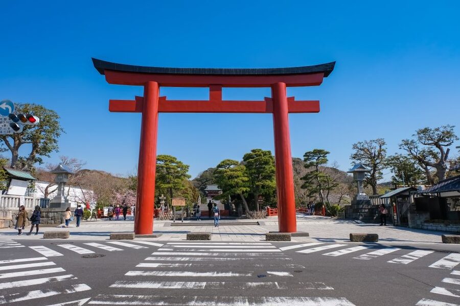 Tokyo: Kamakura & Enoshima Day Trip including Temple Tickets - Hasedera (Hase-dera): cherry blossoms, hydrangeas, and big views over Sagami Bay