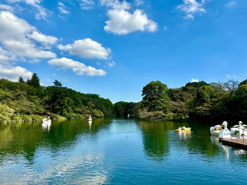 Tokyo: Kichijoji Walking Tour with Local Guide - Who should book this Kichijoji and Ghibli Museum tour?