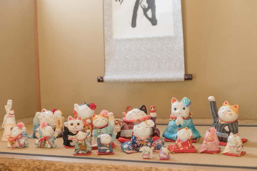 Tokyo: Kimono Rental inside Shinjuku Gyoen National Garden - Key Points to Know Before You Go
