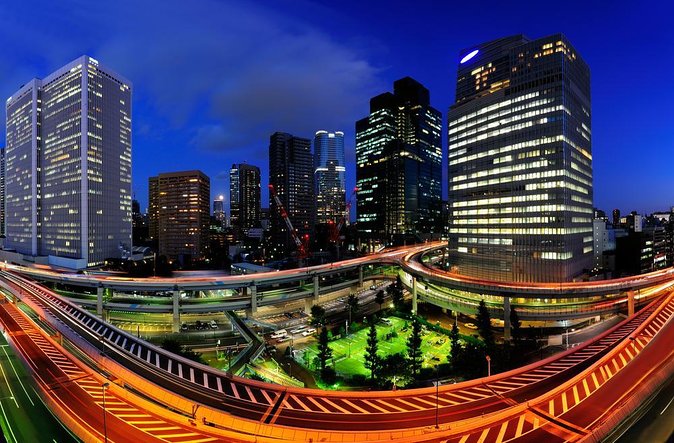 Tokyo Like a Local: Private & Personalised Experience (2-3 hours) - Key highlights worth clocking