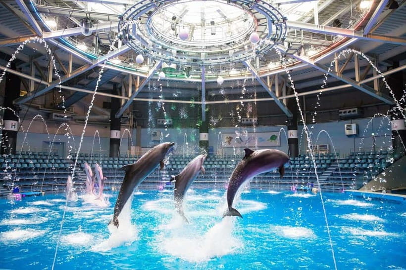 Tokyo: Maxell Aqua Park Shinagawa Direct Entry Ticket - Key Things You’ll Notice Right Away