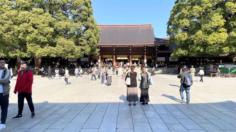 Tokyo: Meiji Jingu, Harajuku, Shibuya, and Shijuku Tour - Harajuku on Takeshita Street: trend chaos you can navigate