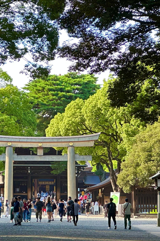 Tokyo: Meiji Jingu Shrine and Shinto Culture Walking Tour - Should You Book This Meiji Jingu Shinto Culture Walk?