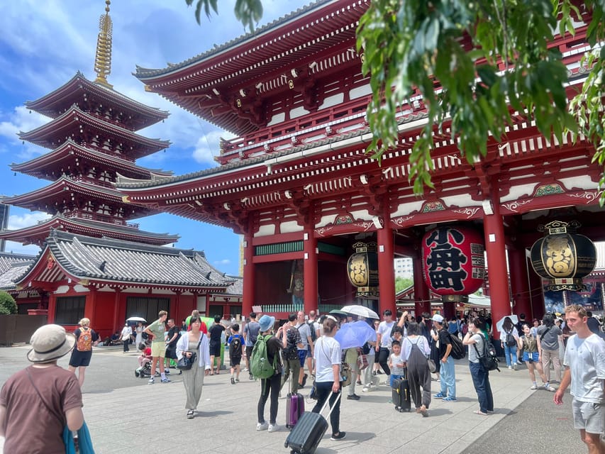Tokyo: Meiji Jingu Shrine and Shinto Culture Walking Tour - Sake Barrels and Wine Offerings: What Consecrated Containers Teach